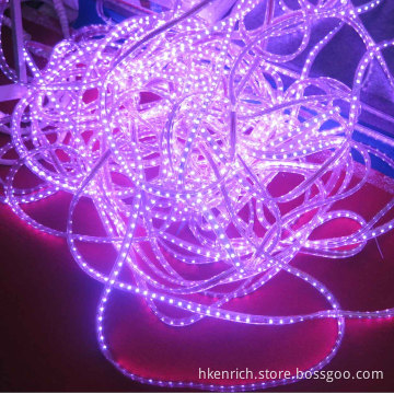IP65 LED Strip Light 5050 60SMD 220V LED Strip 220V Outdoor LED Strip Light with EU/UK Plug